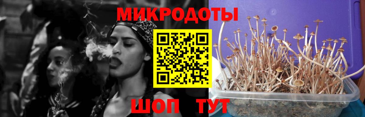 Галлюциногенные грибы Magic Shrooms  Вход с VPN  Янаул 